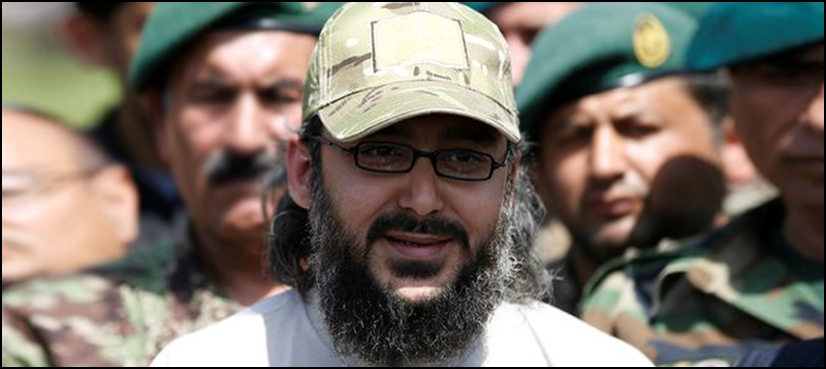 Ali Haider Gillani, Deputy Speaker