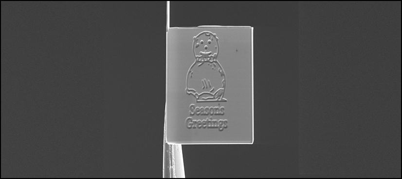 world’s smallest Christmas card