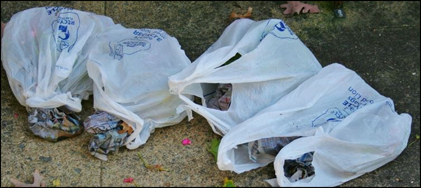 polythene bags, Karachi, Commissioner