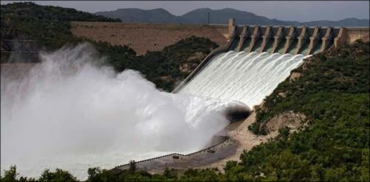 Kishanganga dam Pakistan World Bank