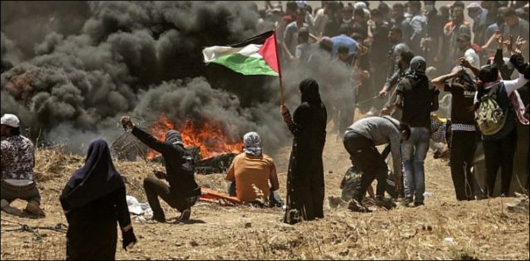 Palestine Solidarity Day