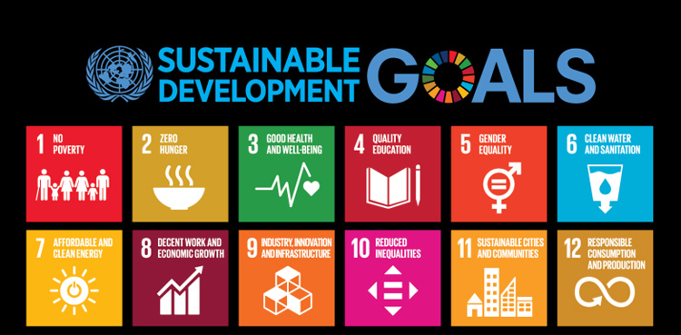 SDGs, Pakistan, formation of task forces