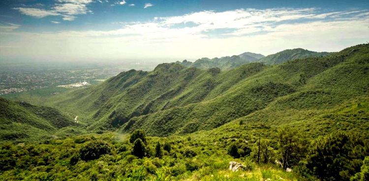 Bangladesh, tea workers strike