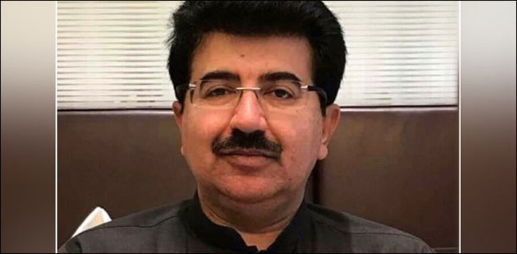 no trust move, Chairman Senate Sadiq Sanjrani, BAP,