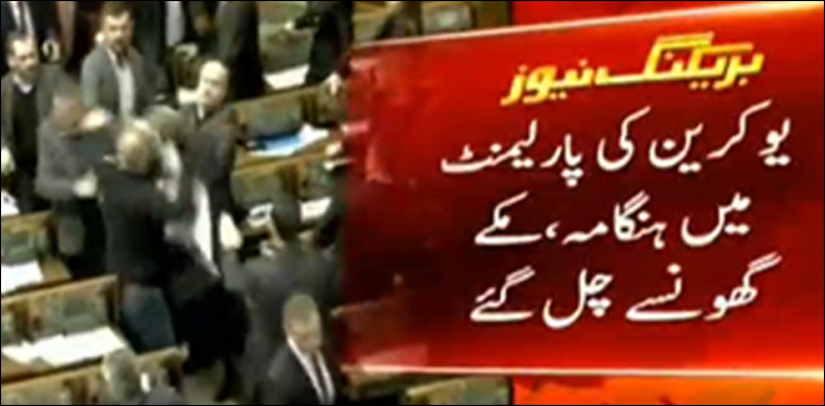 Ukraine, Brawl, Parliament