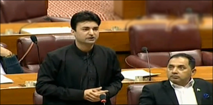 Senate, Murad Saeed