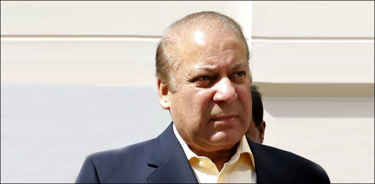 Nawaz Sharif, Shehbaz Sharif, jail visit