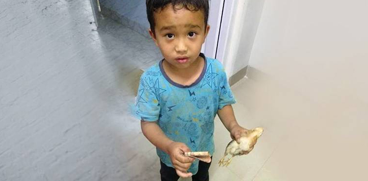 Indian boy goes viral saving chicken's life