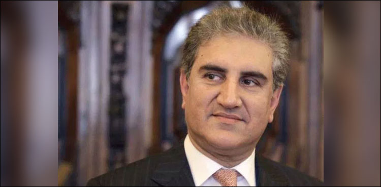 Shah Mehmood Qureshi, Foreign Minister