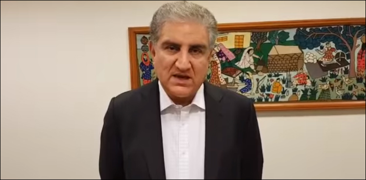 Shah Mehmood Qureshi, Foreign Minister of Pakistan Shah Mehmood Qureshi, FM Qureshi
