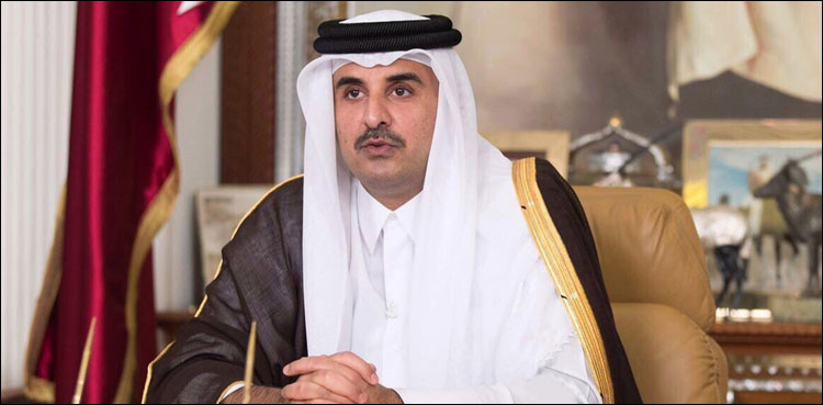 Qatari ruler, Pakistan visit