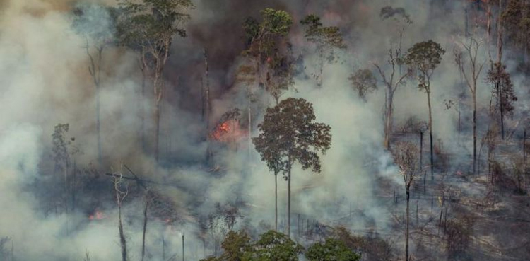 Amazon, Amazon Fires, Rain