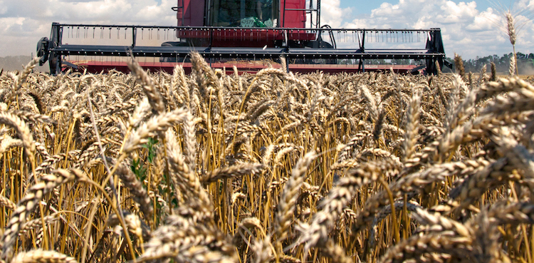 Russia black sea grain deal