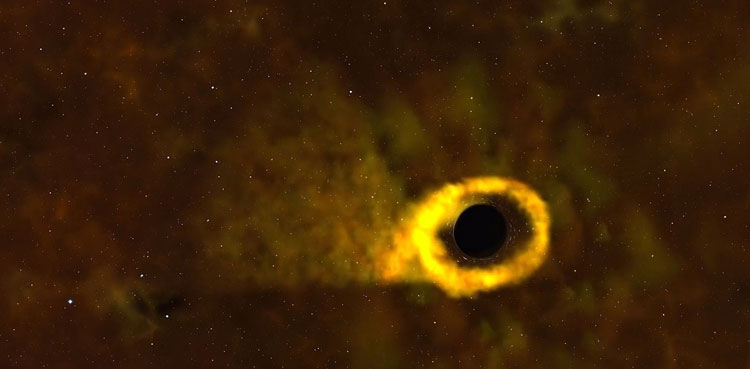 Black hole, star