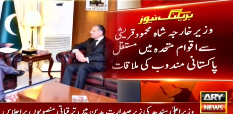 shah mahmood qureshi