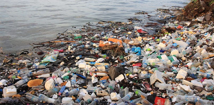 Imran Ismail students