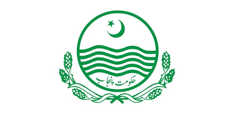 Punjab union councils LG system