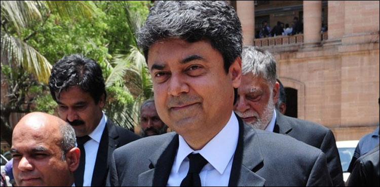 Farogh Naseem Senate deputy chairman