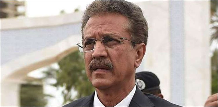 Waseem Akhtar Karachi administrator advisory committee