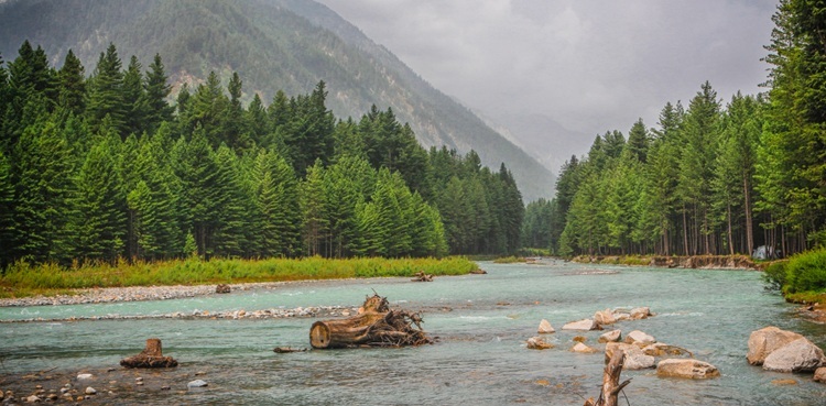 PM Shehbaz, promote, tourism, Pakistan