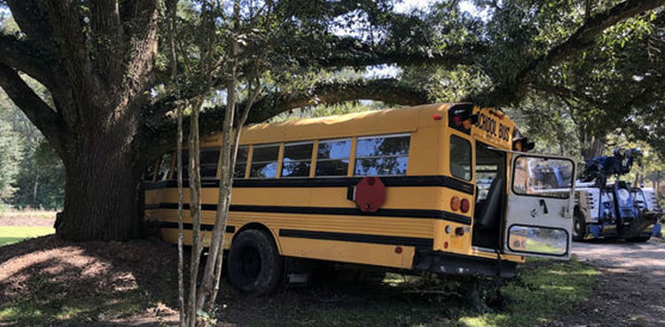 11-year-old boy steal school bus joyride