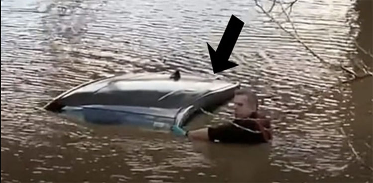 trapped car, flood water, rescue, vehicle submerged