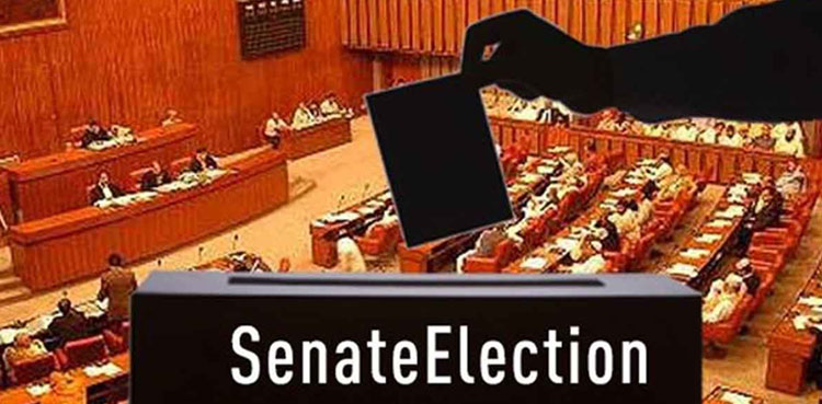 Senate election ECP