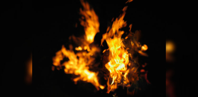 grave, brother, property dispute,