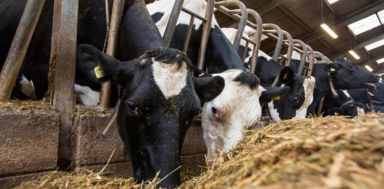 GCLI drives agricultural transformation in Pakistan under SIFC