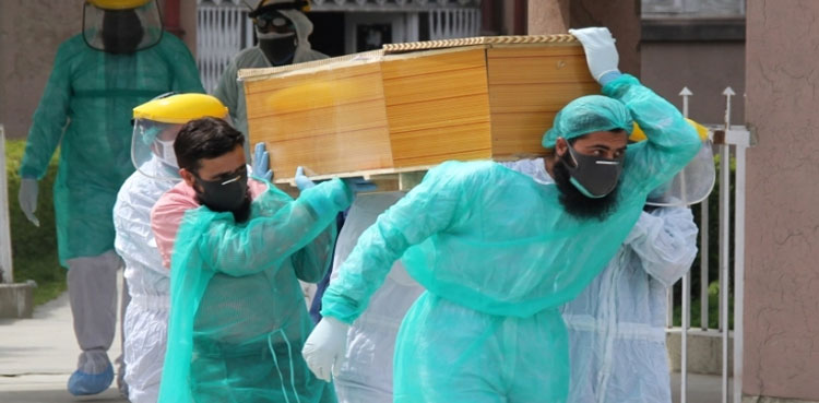 pakistan deaths covid-19