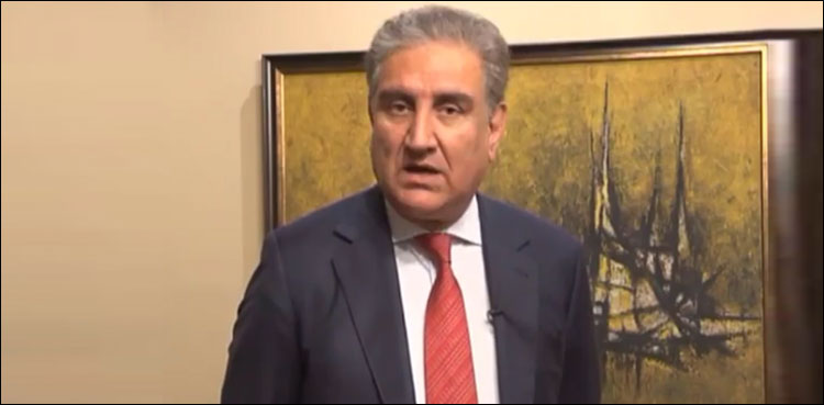 Afghan leaders need to exhibit wisdom amid fragile situation: FM Qureshi