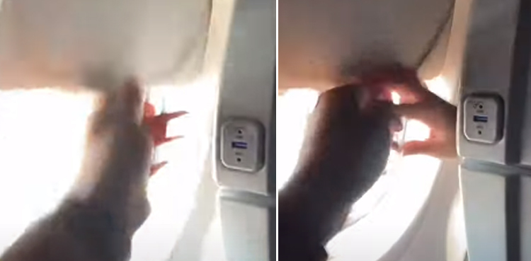 passengers fight window blind viral video