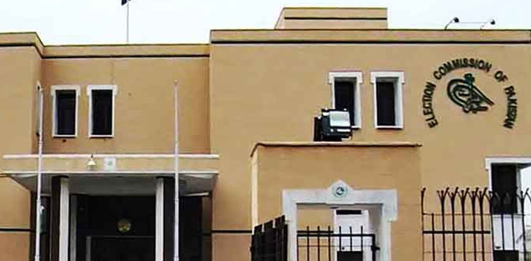 ECP, ballot papers theft case, NA-240 by election