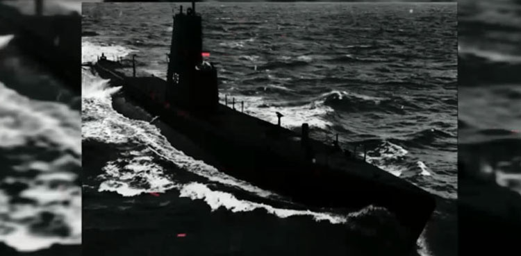 Pakistan Navy on hangor golden jubilee