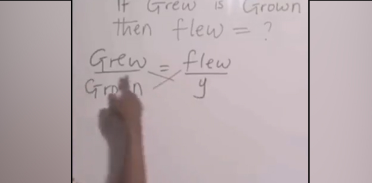 mathematics teacher, English question, Viral video
