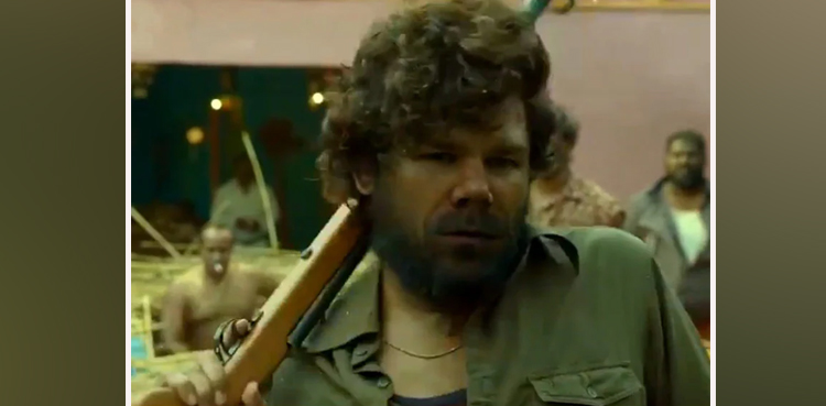 Allu Arjun, David Warner, Video, Pushpha