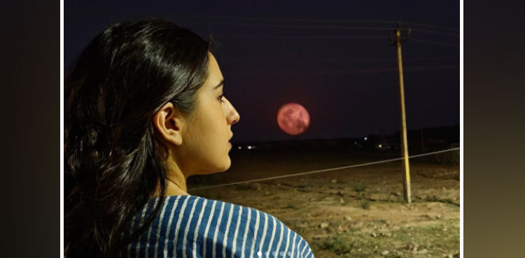bollywood actor, bollywood, sara ali khan pictures, sara ali khan, full moon