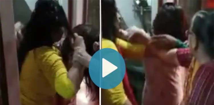 daughter in law, mother in law, viral video,