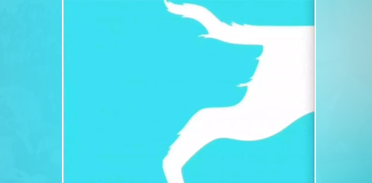 illusion, illusion picture,