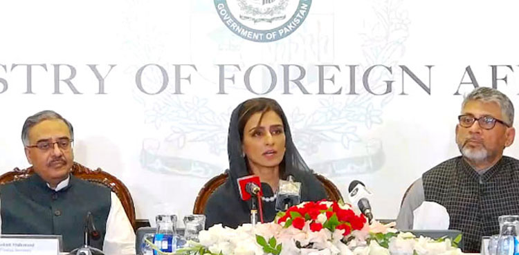 Hina Rabbani Khar