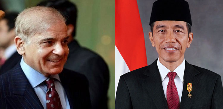 Pakistan, Indonesia, bilateral, cooperation