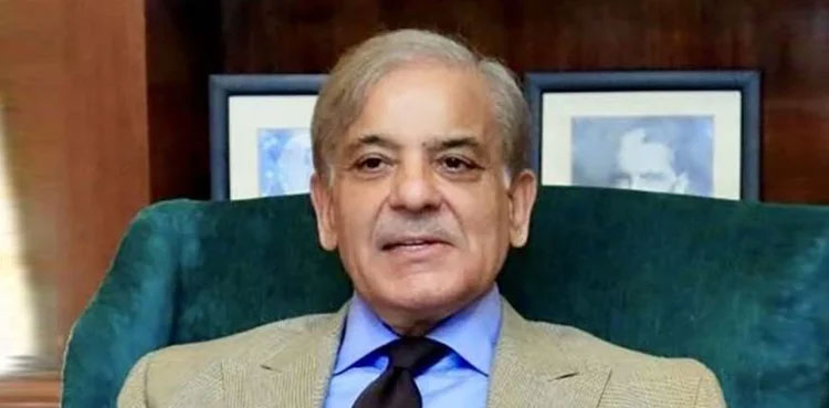 Shehbaz's permanent exemption, Ramzan Sugar Mills hearing, written order