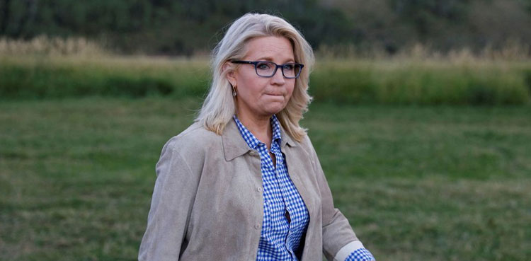 Trump-backed challenger, Republican, Liz Cheney, US midterm primary