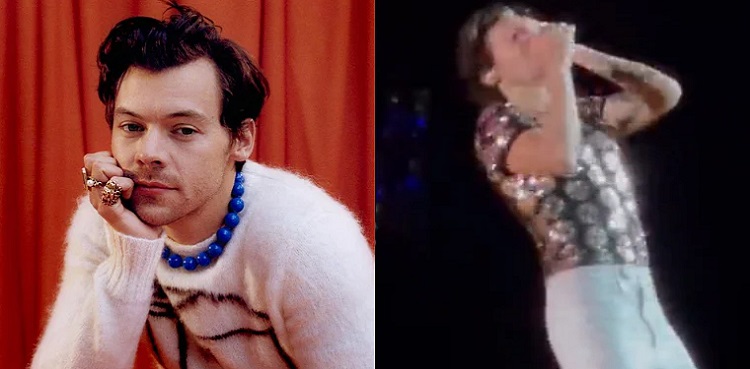 harry styles concert, viral video