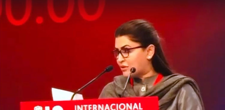 Shazia Marri, privatization