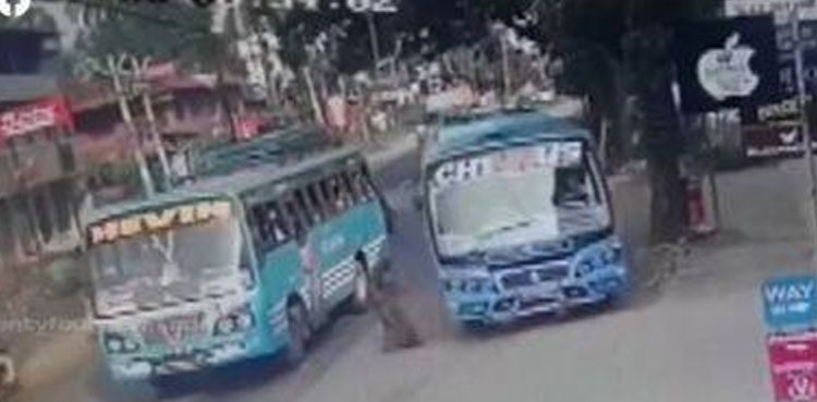 bus accident, accident, bus, viral, video