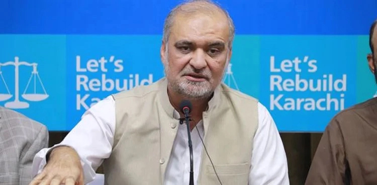 Hafiz Naeem, IPPs atrocities, political parties