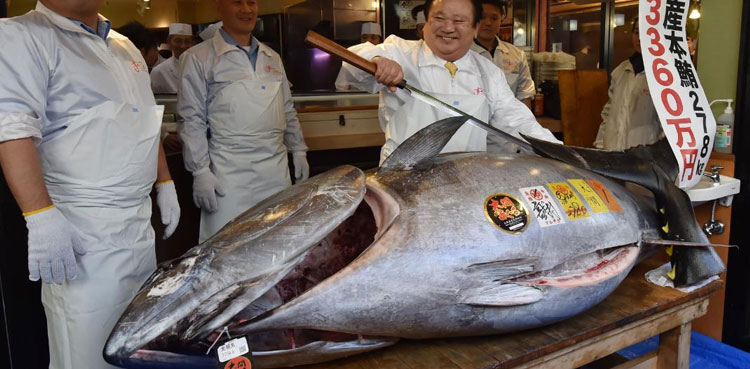 Tuna price Japan seafood china