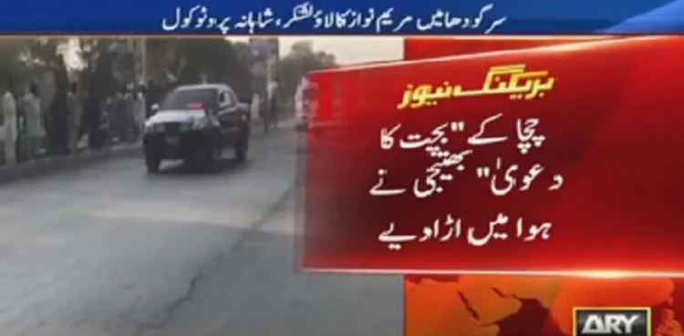 Maryam Nawaz, lavish protocol, austerity measures,