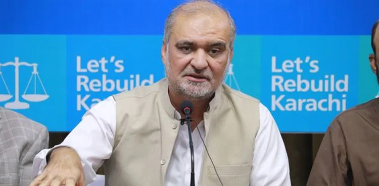 Hafiz Naeem, JI protest, power tariffs